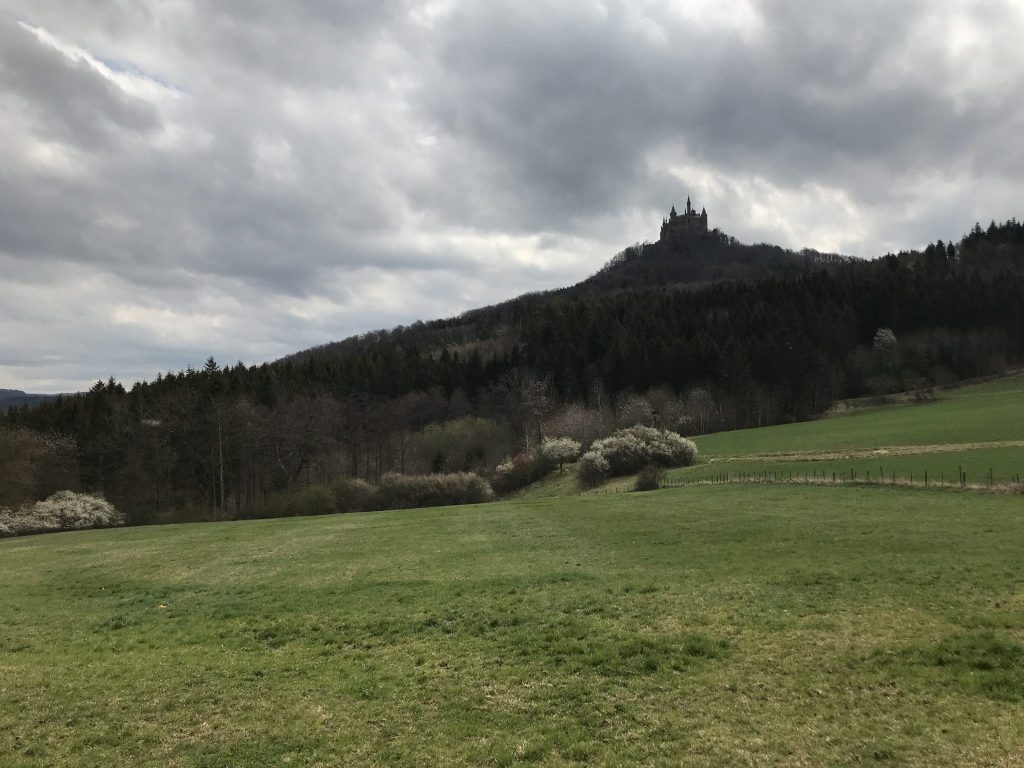 photo of green pastures surrounding merz b. schwanen area