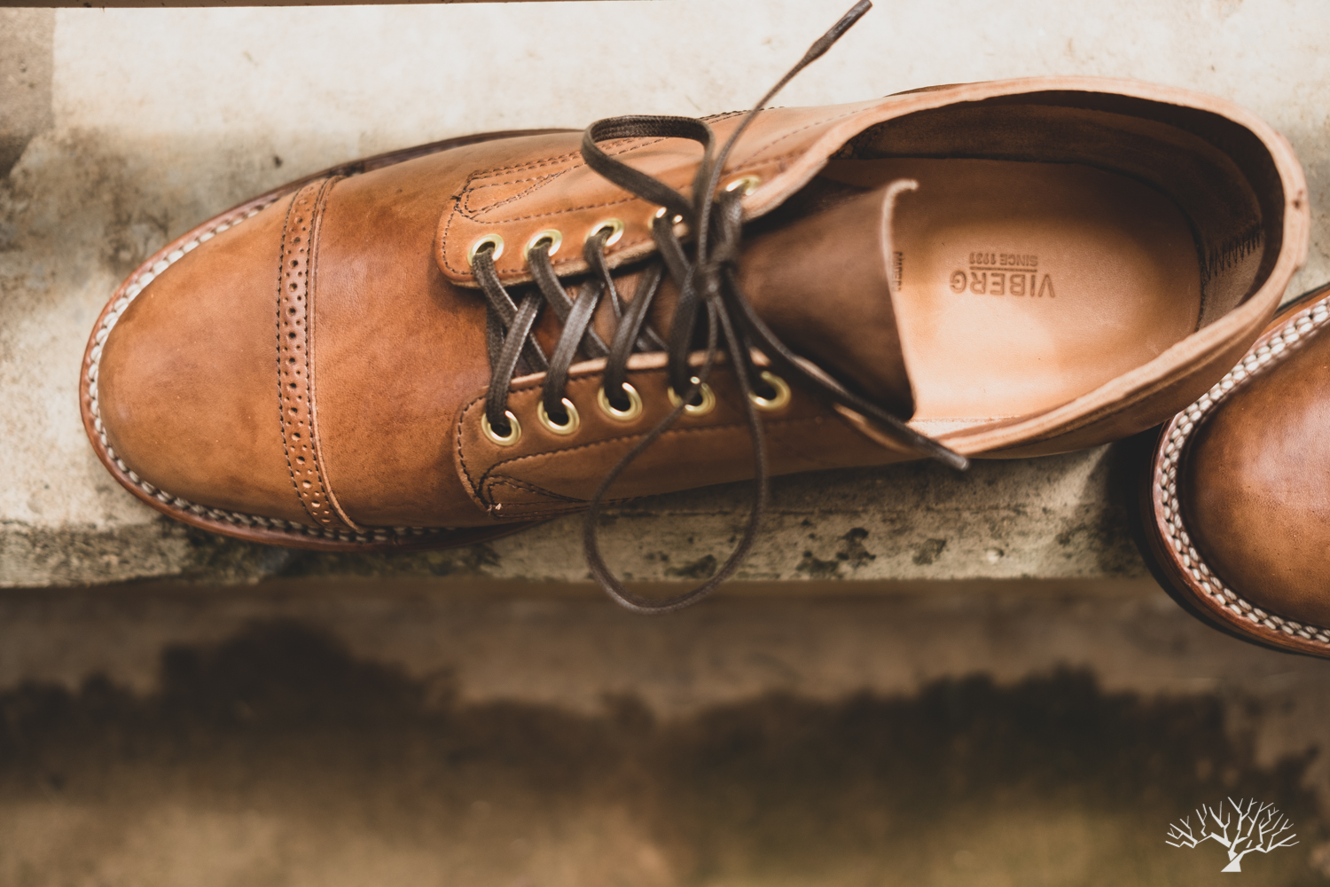 viberg for withered fig franklin II 145 oxford