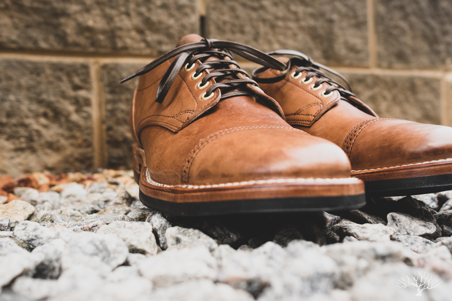 viberg for withered fig maryam crust horsebutt 145 oxford cap toe variation